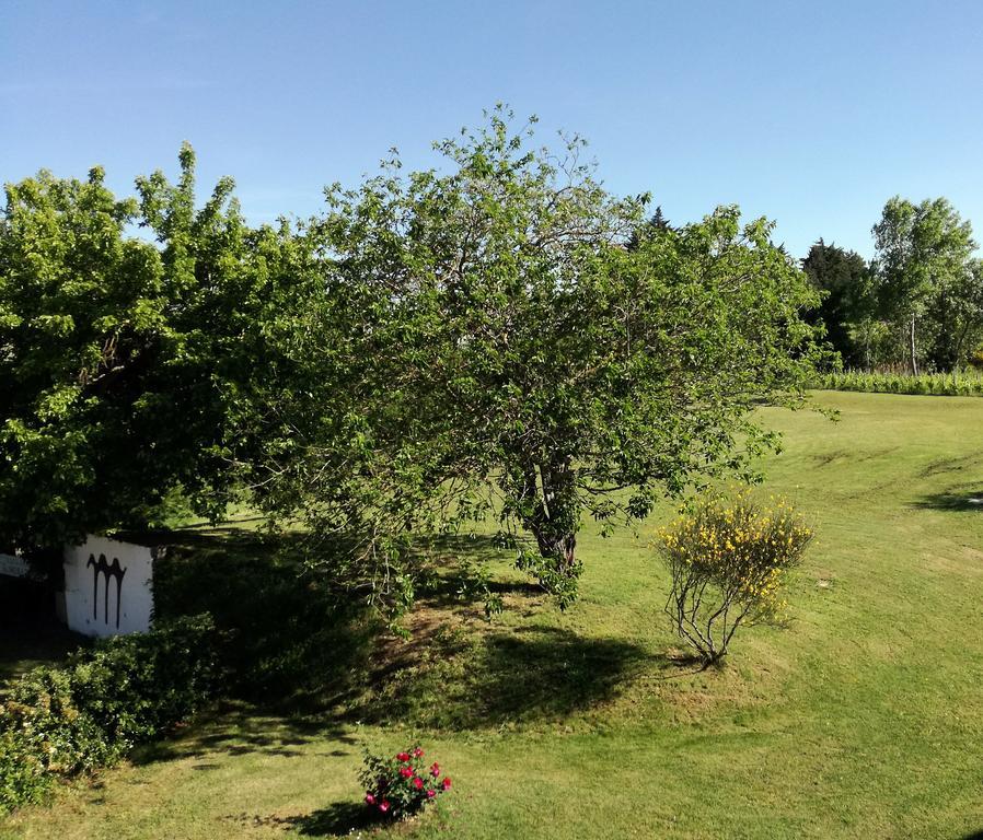 Agriturismo Morattina كاستروكارو تيرمي المظهر الخارجي الصورة